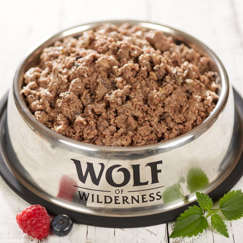 Wolf of Wilderness Junior Free range 6 x 400 g