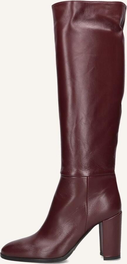 LINA LOCCHI Hoge Laarzen Dames At 161 Maat: 40 Materiaal: Leer Kleur: Rood