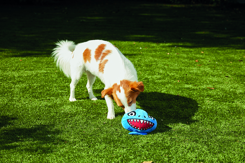 Chuckle Chums Hunde Spielzeug Interaktives Kau Plüschtier mit Geräuschen / Bewegungen Batteriebetrieben (VJUVACIND0012) - Assortiert