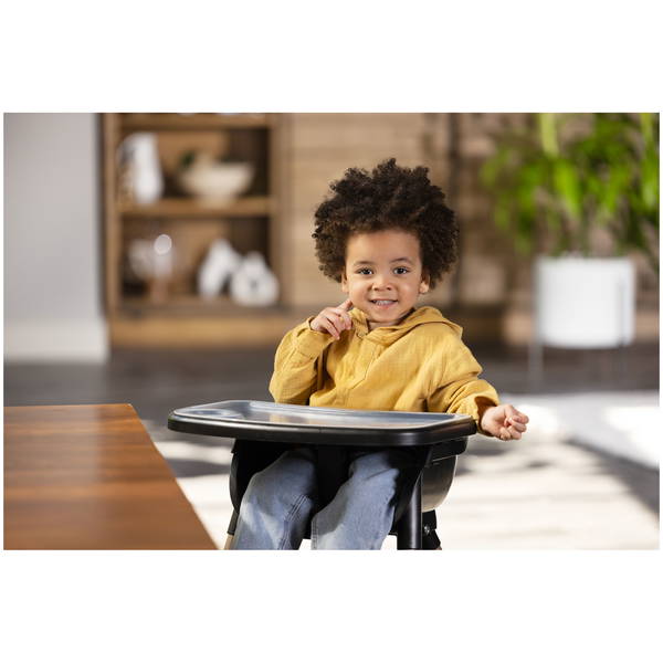 GracoGraco   Presti charcoal