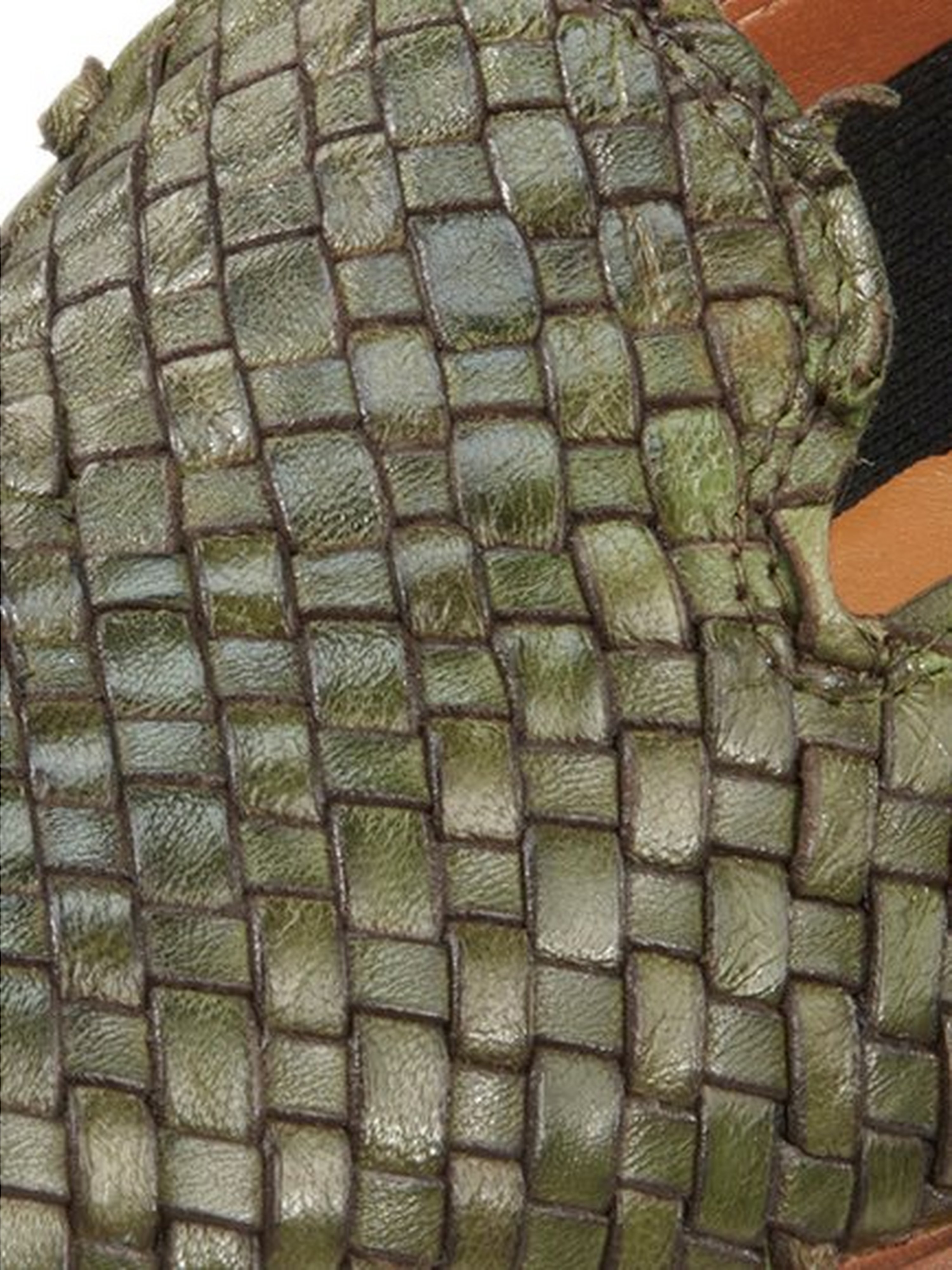Slipper Afelandra