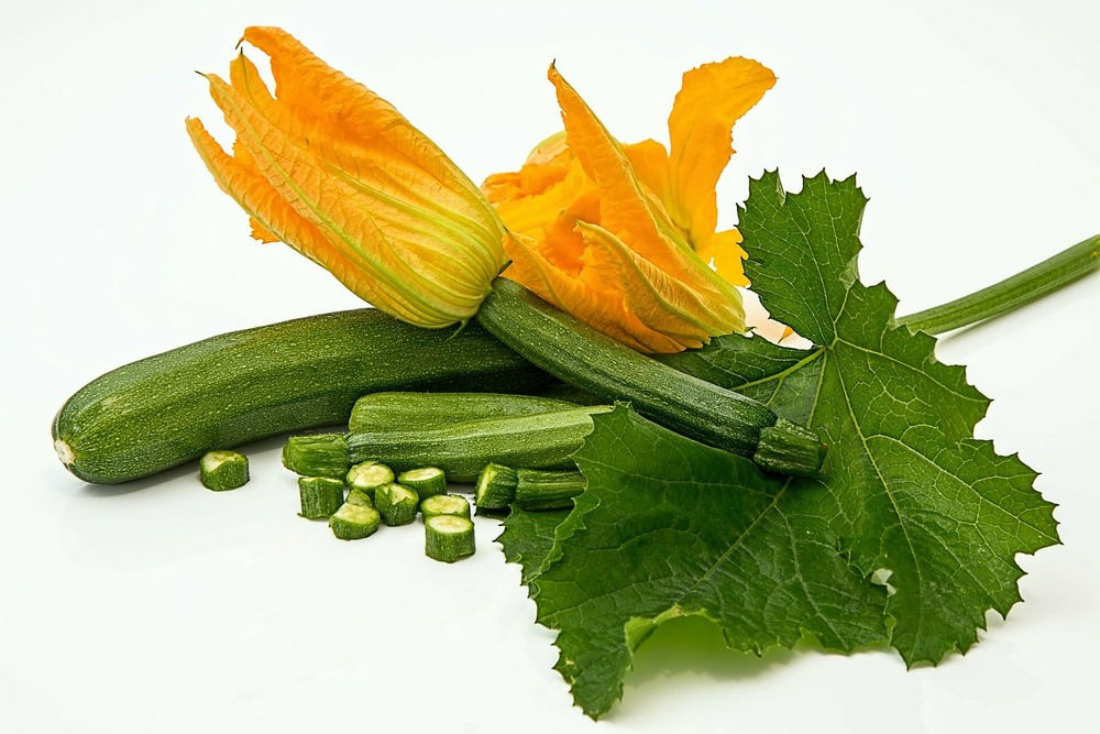 Sachet de graines de courgette verte des maraîchers bio - sachet de 2 grammes - petite entreprise française - made in france
