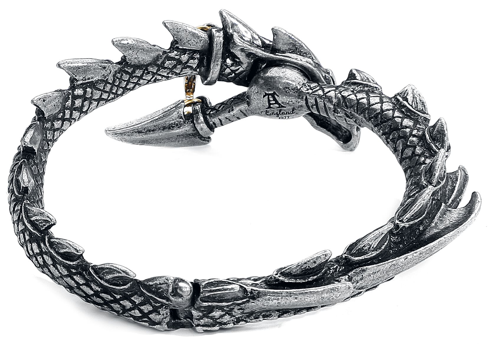 Dragon's Lure | Alchemy Gothic Bracelet
