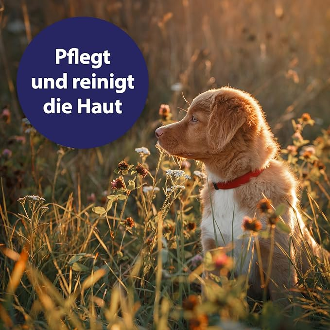 (75ml) Hunde Wundspray Reinigung & Pflege von Wundbereichen (250656)