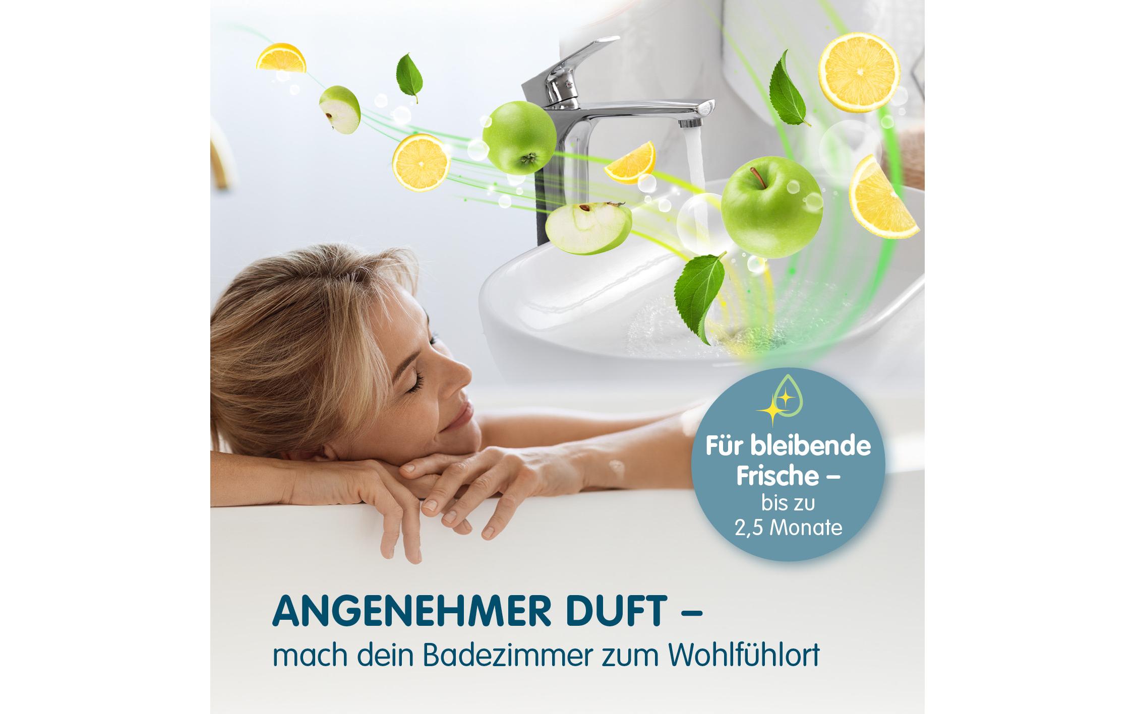 Reinigung Duftsteine, 4er SetFür angenehmen Geruch im Bad