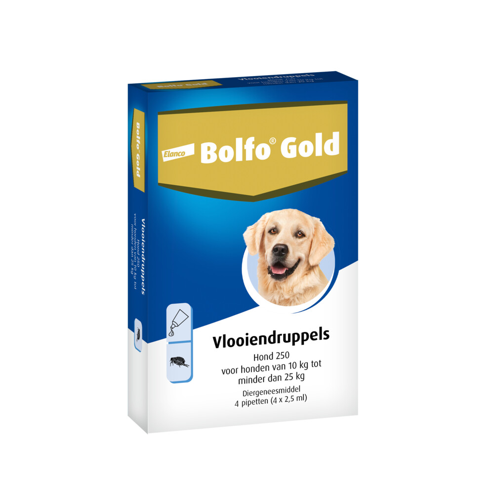Bolfo Gold Anti Vlooiendruppels Hond 10 - 25 kg 4 pipetten