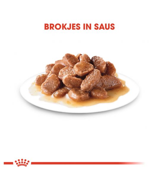 Royal Canin Ageing +12 - In Gravy - Kattenvoer - 85 g Bonuspack