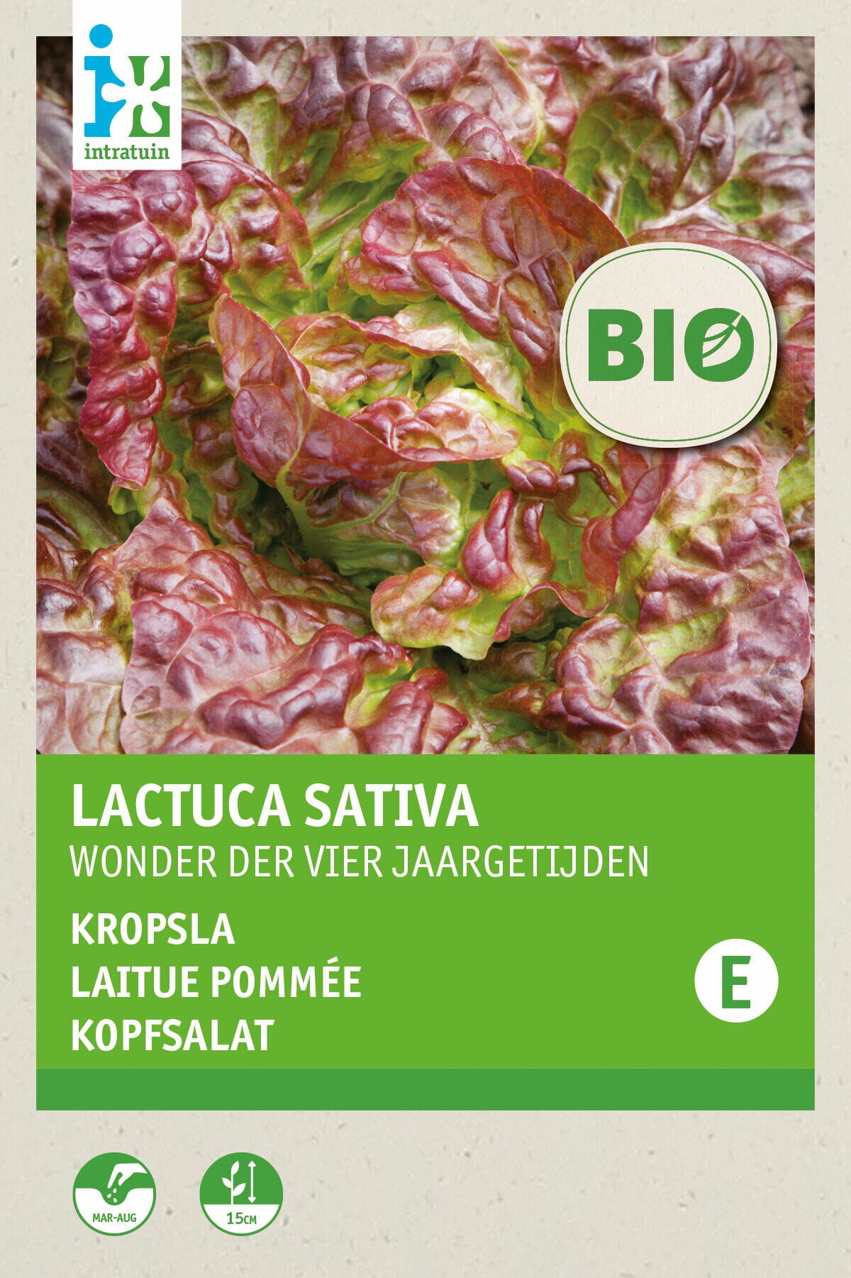 Biologische Intratuin groentezaad Kropsla (Lactuca sativa 'Wonder der Vier Jaargetijden')