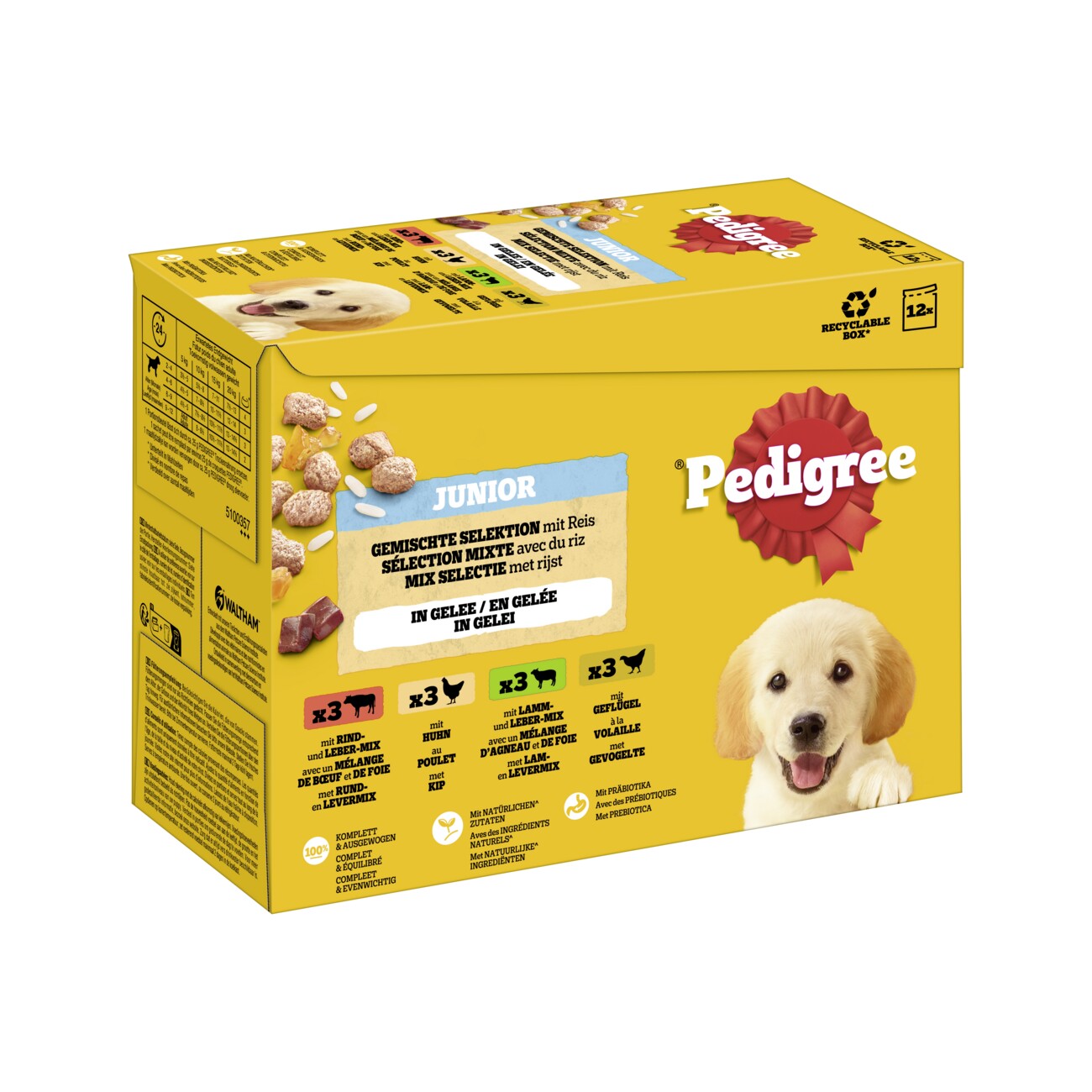 Pedigree Nassfutter Hund Junior, Multipack, Gemischte Selektion, in Gelee 12x100 g