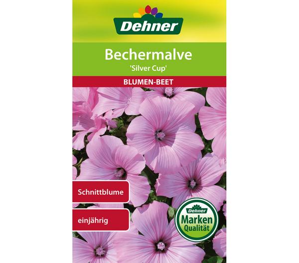 Dehner Samen Bechermalve 'Silver Cup'