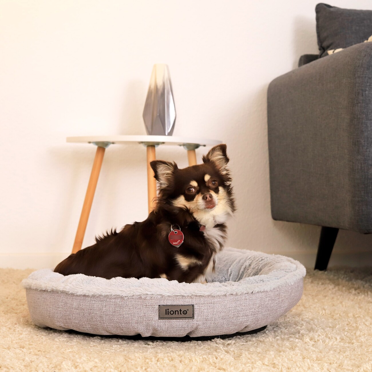 Lionto Rundes Hundebett grau S