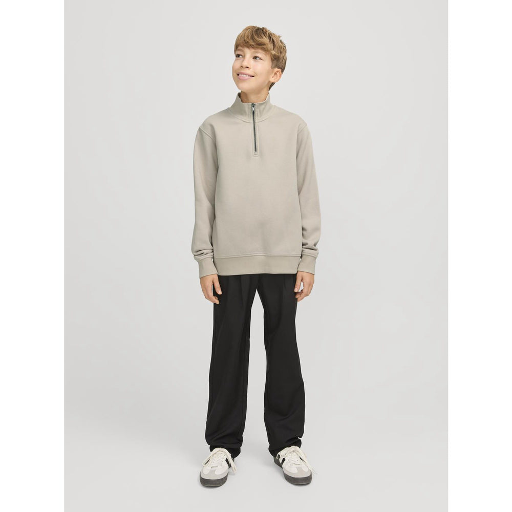 Køb Jack & Jones Junior Moonbeam Bradley Sweatshirt Half Zip Noos