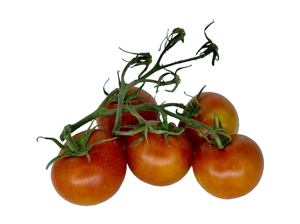 TOMATE MARMANDE BIO QUINTA DAS MÉLIAS KG PRODUTO LOCAL