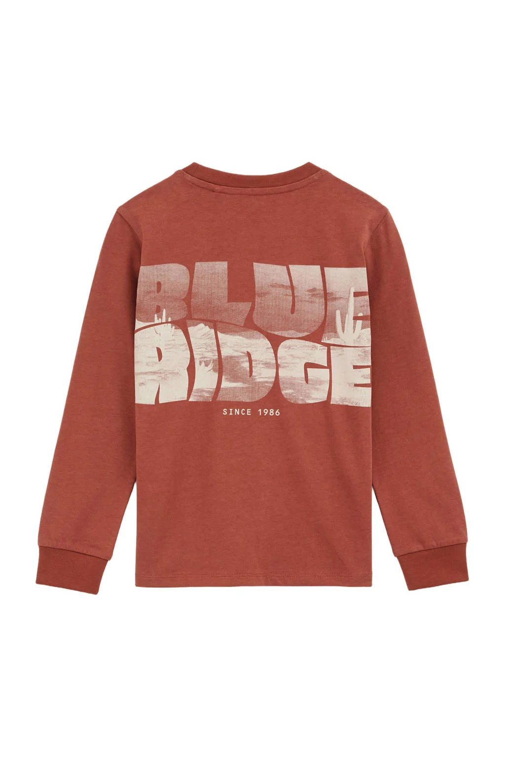 WE Fashion Blue Ridge longsleeve donkerbruin