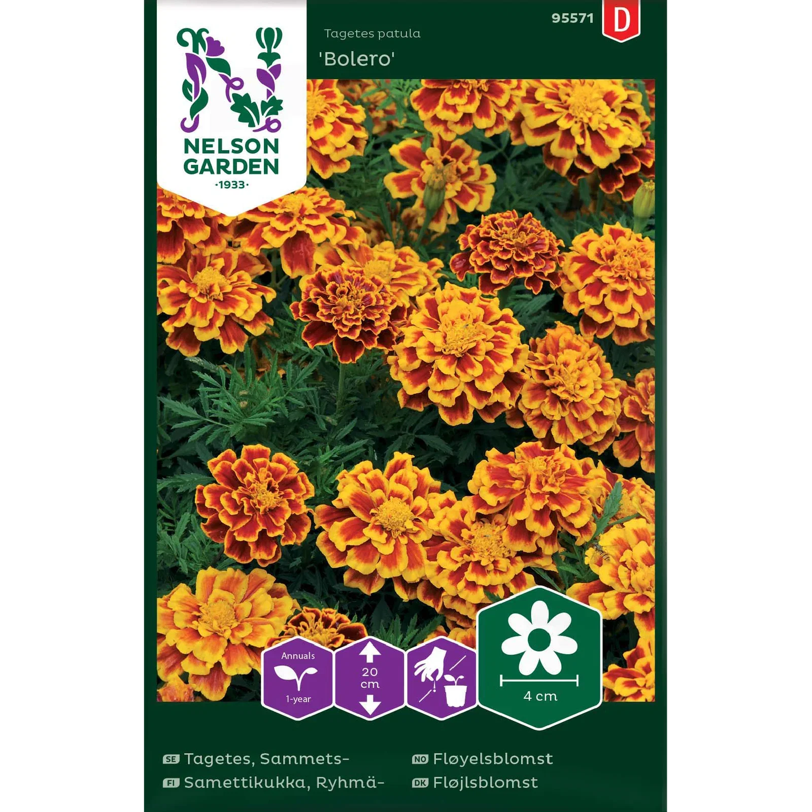 Tagetes patula 'Bolero' Fløyelsblomst 'Bolero'