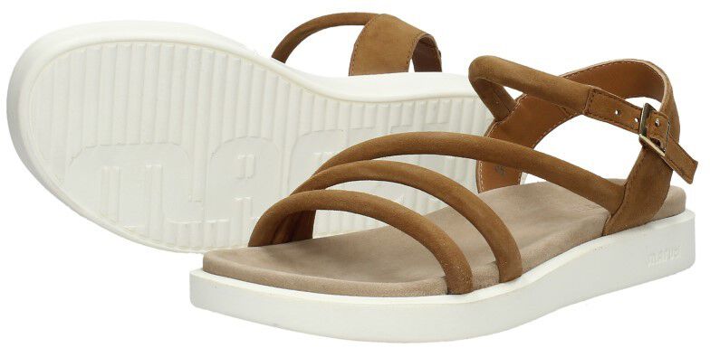 Maruti Luca cognac