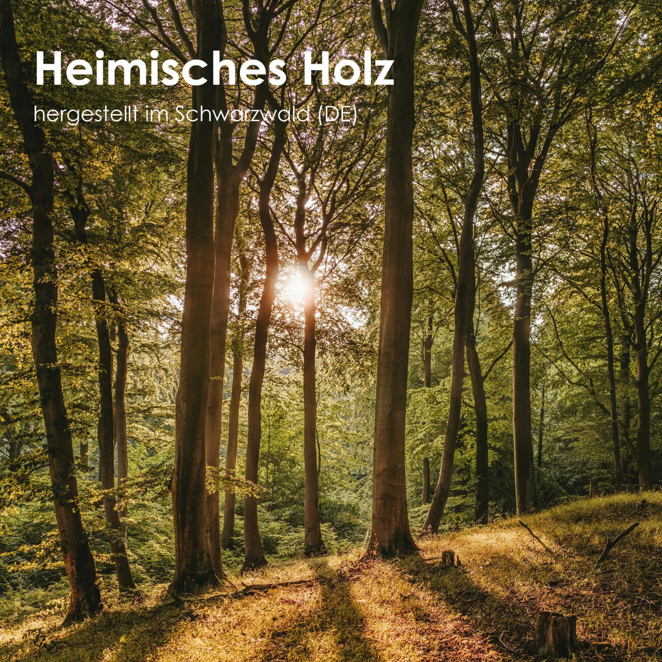 LucyBalu FIGARO Katzenbürste helles Holz