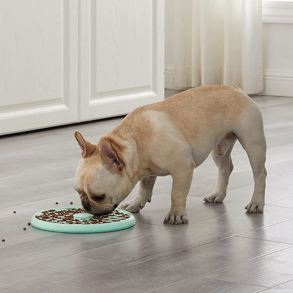 Slow Feeder - Fun Feeder Slo Tray - Outward Hound