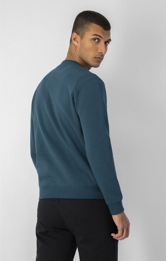 Champion Script Logo Fleece sweatshirt Grøn