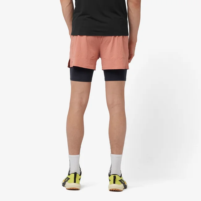 SENSE AERO 2IN1  Shorts Herren