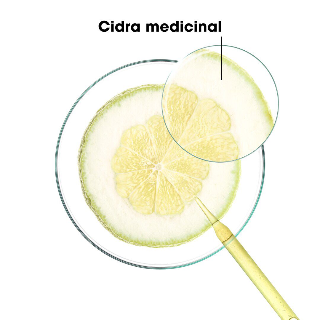 KLORANE  Champô Cidra - 200ml