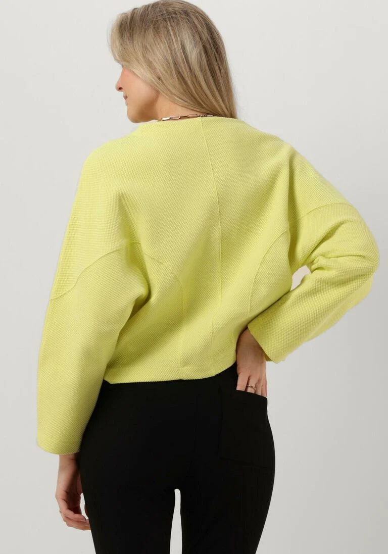 VANILIA groene vanilia sweater struc 85 sweat