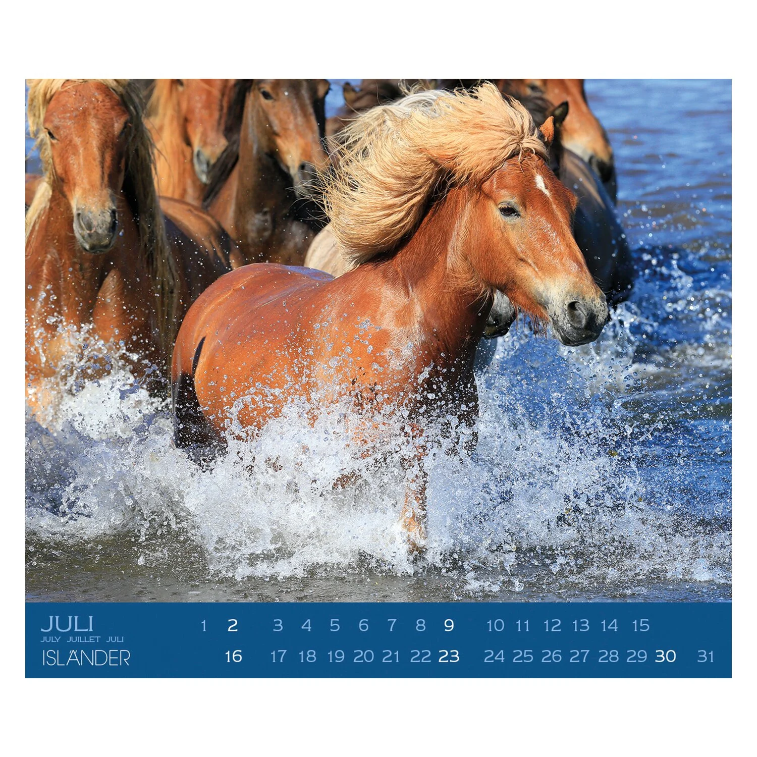 Kalender Isländer  - 2025