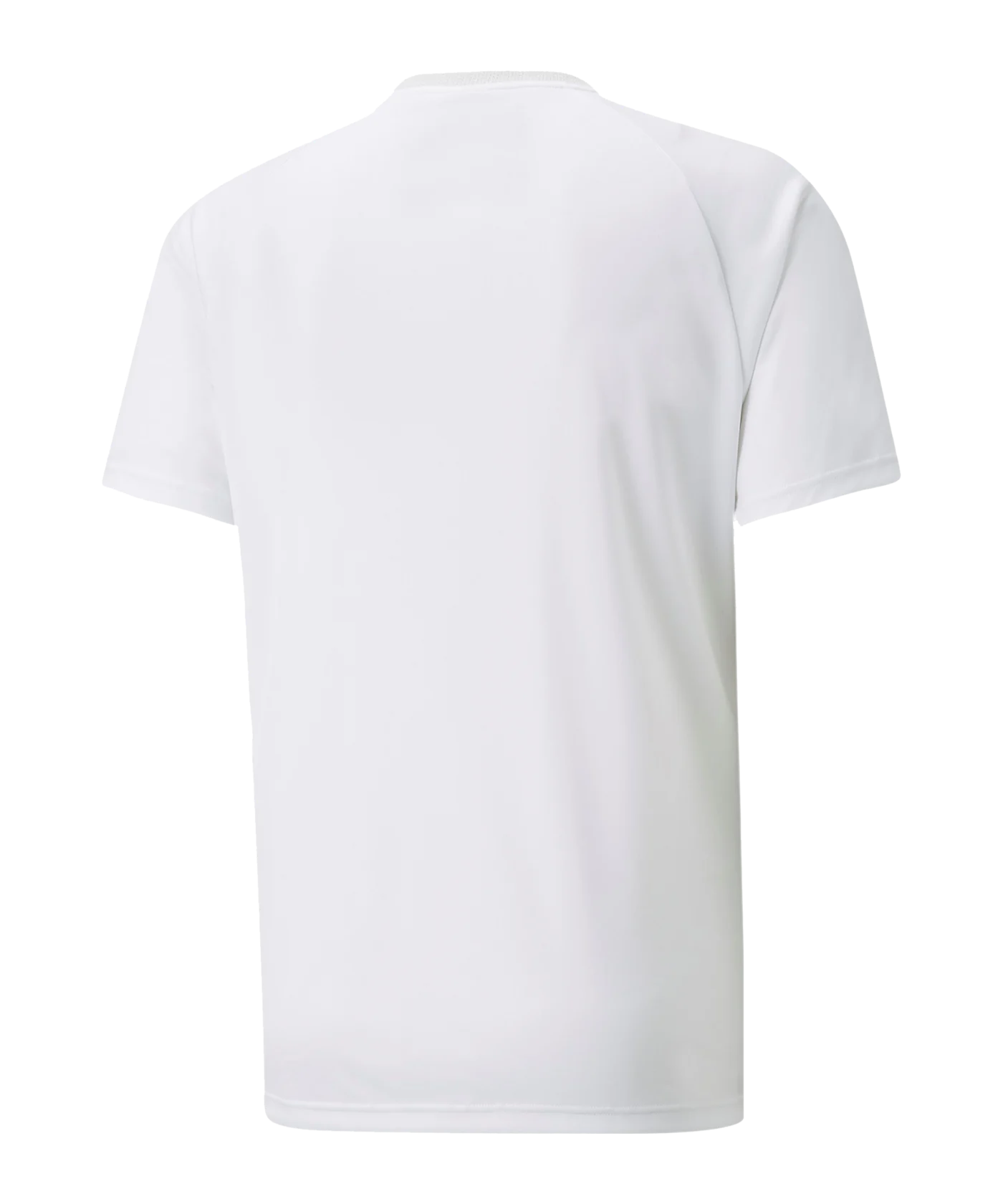 PUMA teamVISION Trikot Weiss Grau F04