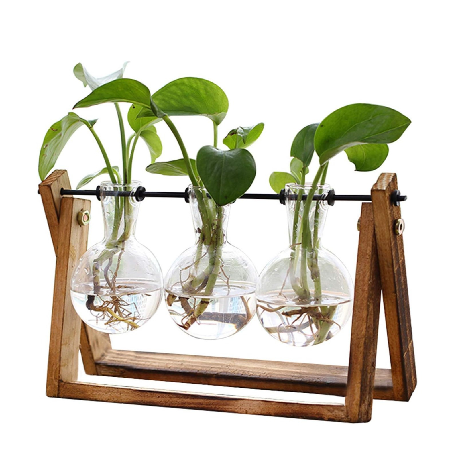 (28x15cm) Deko Pflanzen Terrarium Hydrokultur Vasen Halterung mit Ständer   Glas Gefässen
