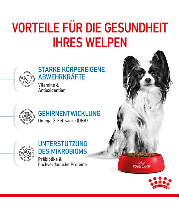 ROYAL CANIN® Trockenfutter für Hunde X-Small