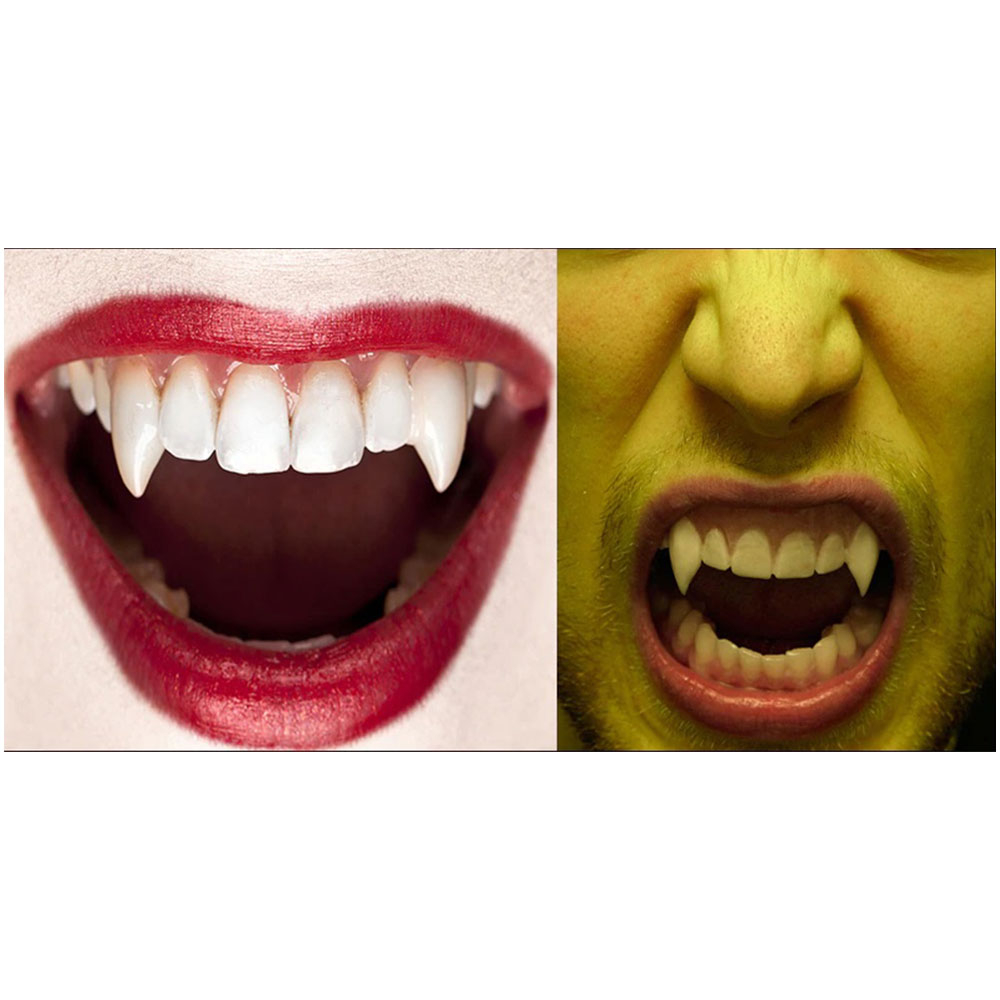 (1 Paar) 13mm Kunst Zähne Fasnachts Kostüm Zubehör Vampirzähne Motto Party Accessoire Halloween Foto Requisite