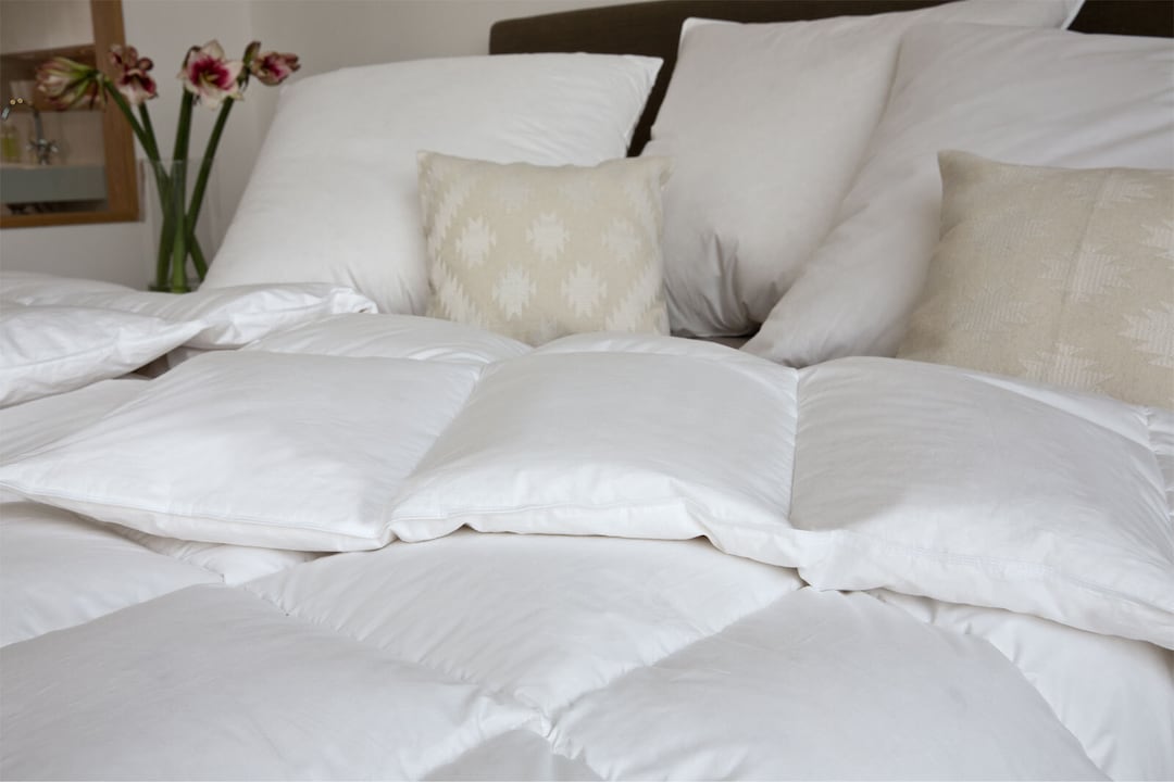 CENTA-STAR Kassettendaunenbett AMBIENTE 240 x 220 cm 1220 g