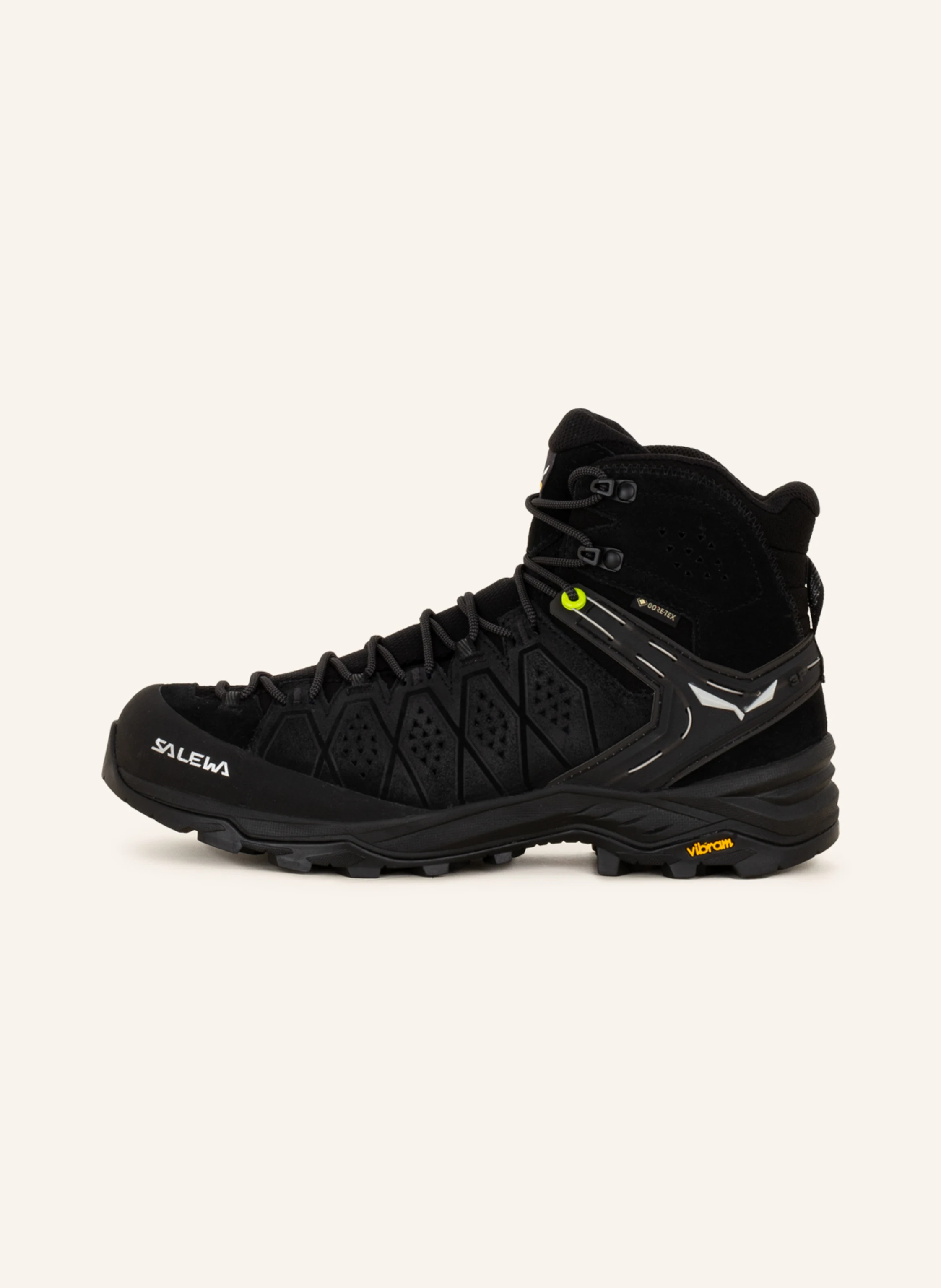 SALEWA Wanderschuhe ALP TRAINER 2 MID GTX