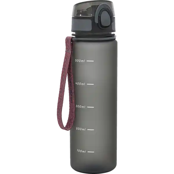 Sport-Trinkflasche anthraz. / türkis 600ml