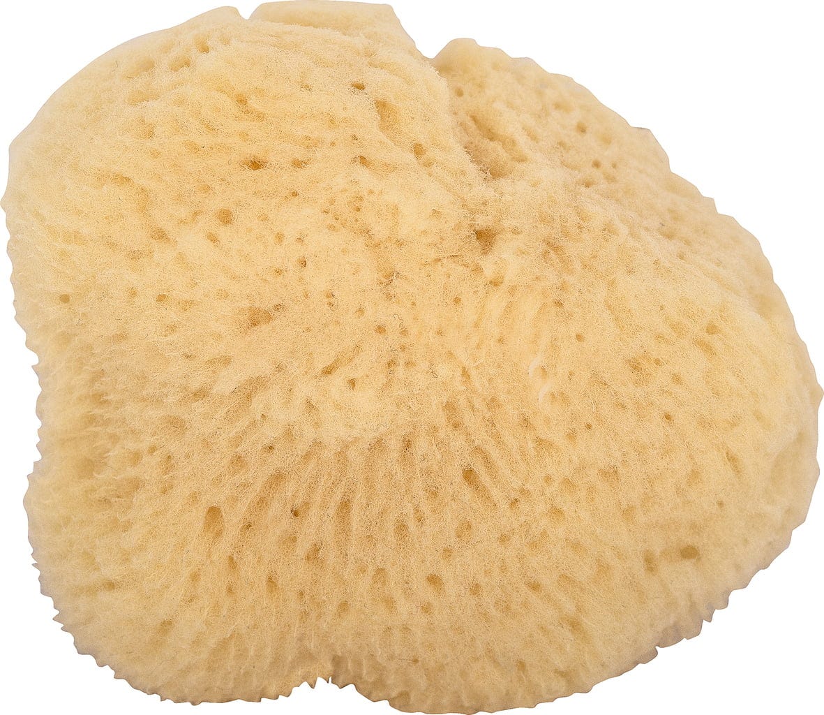 Niyok  Gesichtsschwamm