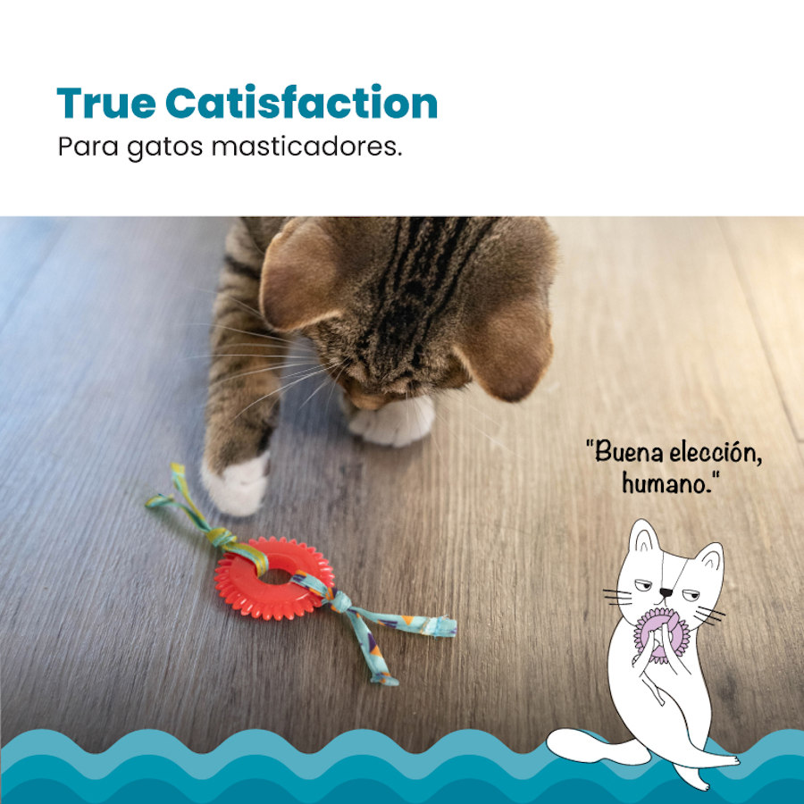 Mordedor para gatos Outward Hound Catstages Kitty Chew com roda vermelha