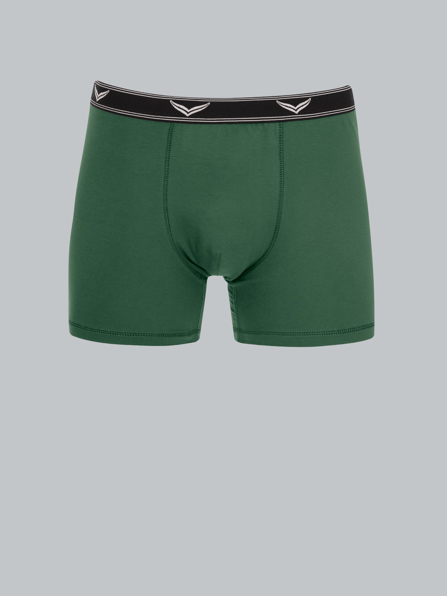 Bequeme Pants mit Webgummibund Efeu