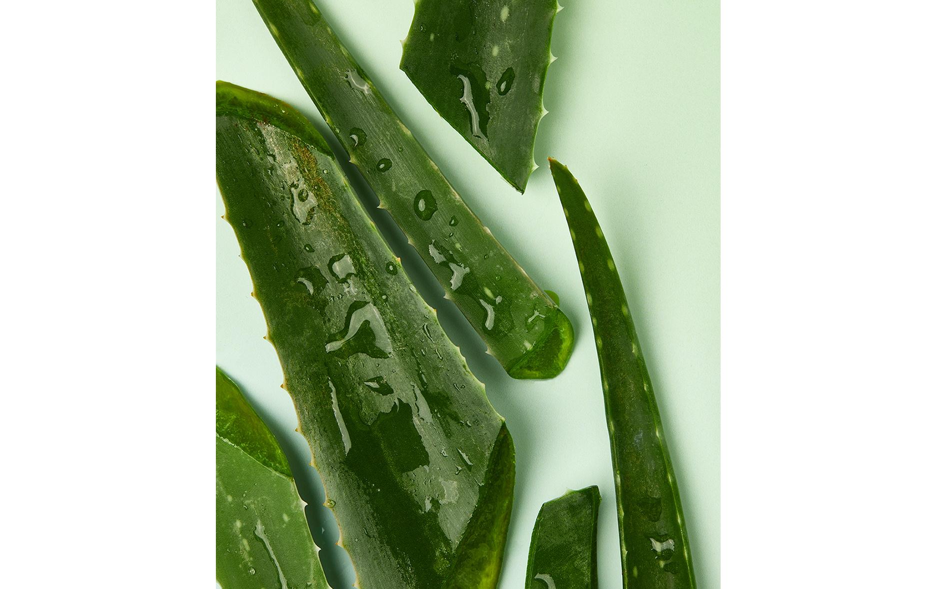 Tagescrème Naturally Good Bio Aloe Vera 50 mlTiefenwirksame und feuchtigkeitsspendende Gesichtspflege
