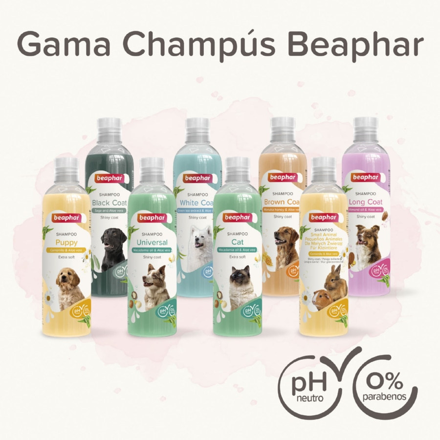 Shampoo Beaphar Extra Soft para Filhotes