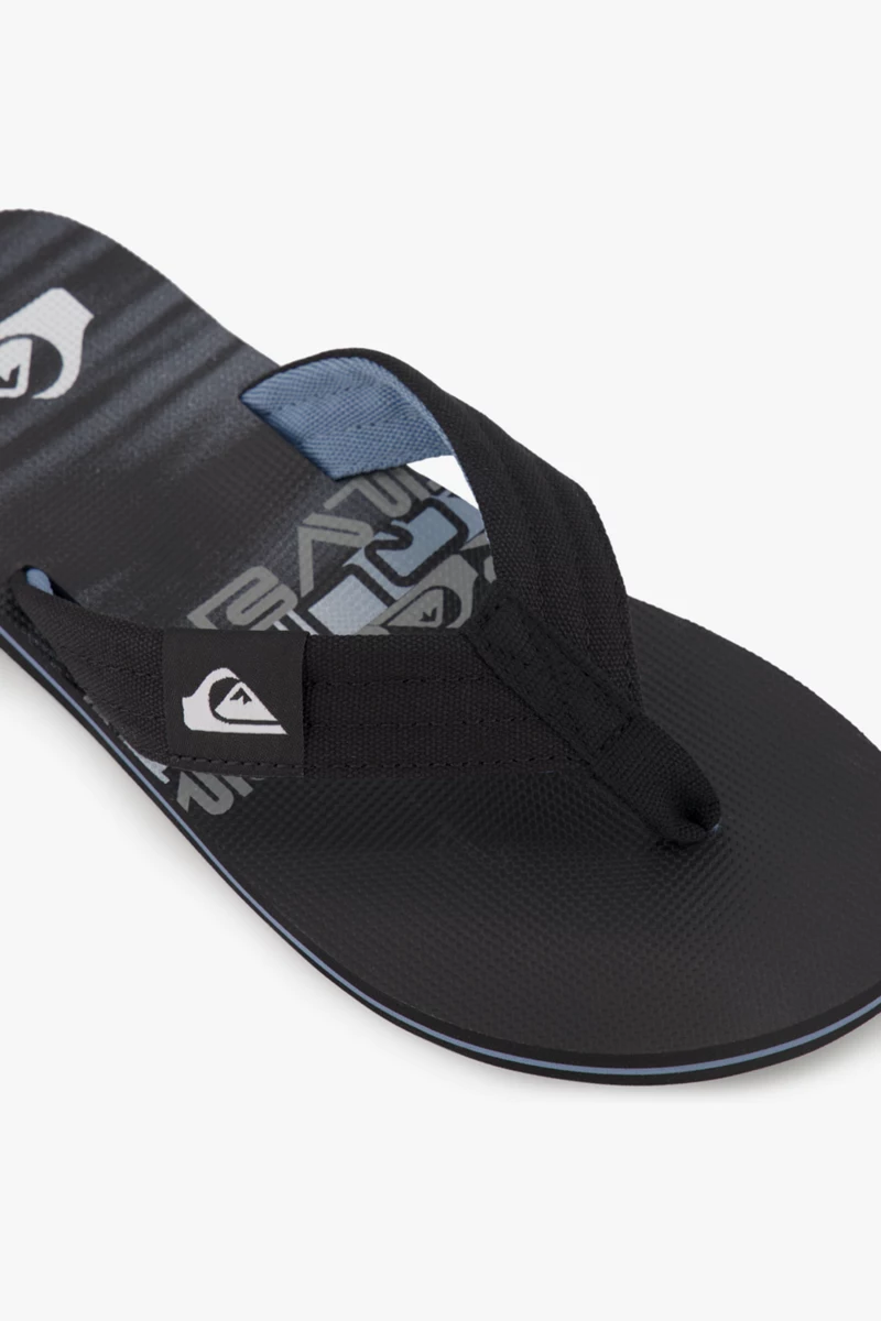 Quiksilver Molokai Layback II Herren Flip Flop