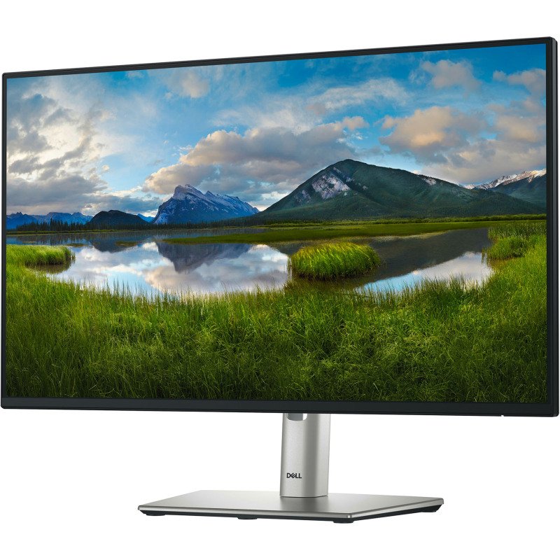 DELL P Series P2425H écran plat de PC 60,5 cm (23,8