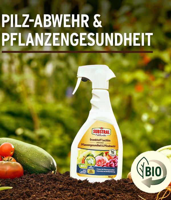 Substral® Naturen® Grundstoff Lecithin, 750