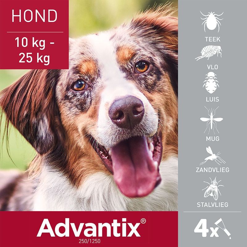 Advantix Spot-on Oplossing voor Honden 10-25kg - 4x 2,5ml