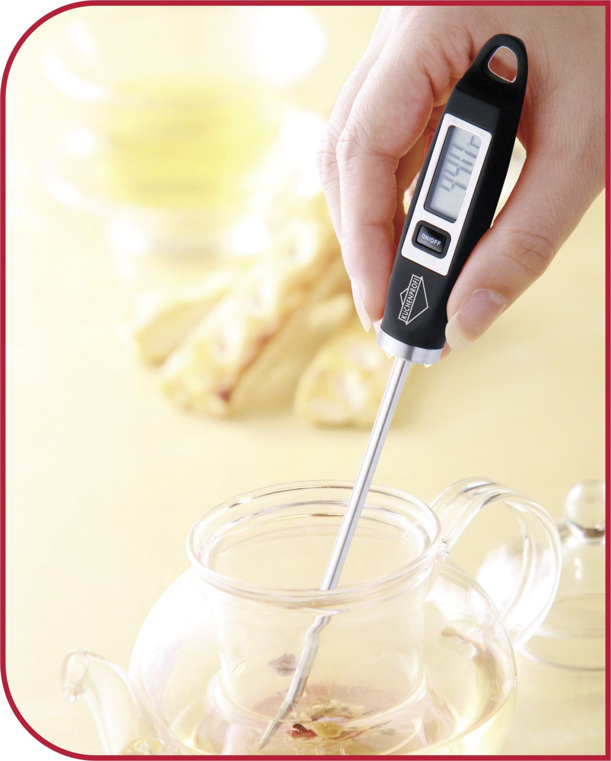 Digital Thermometer QUICK