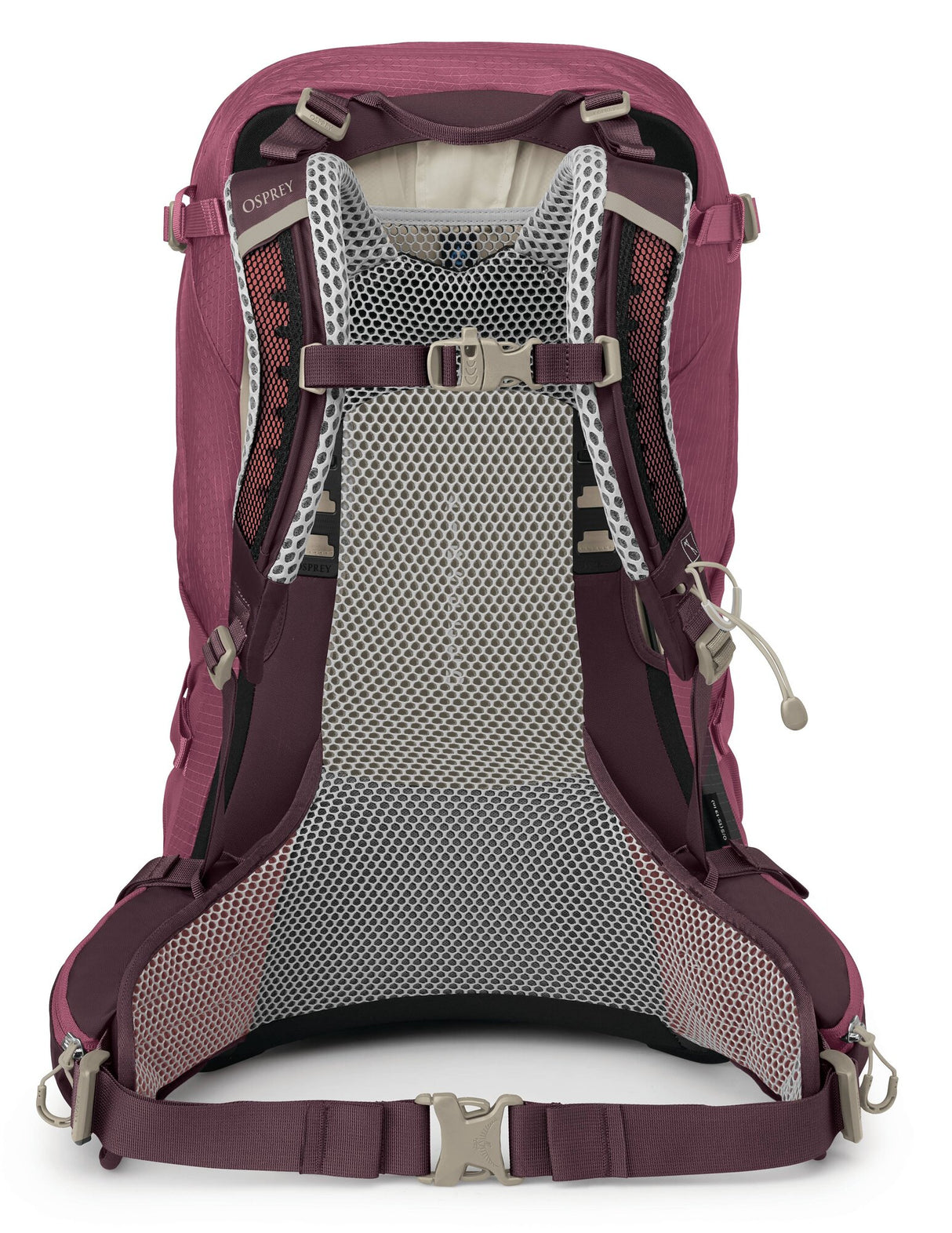 Osprey<br>Sirrus 34