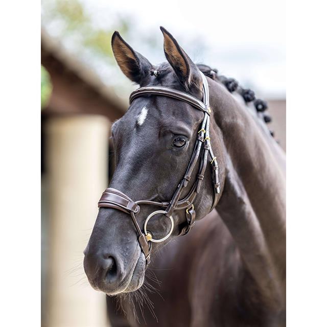 Hoofdstel LeMieux Kudos Clear Arc Bruin-goud