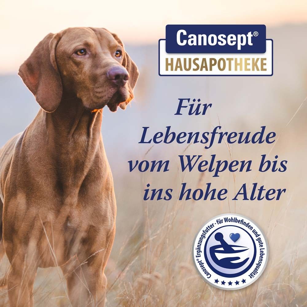Canosept® Gelenk-Tabletten