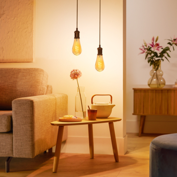 Philips LED edison E27 3,1 W filament goud spiraal dimbaar