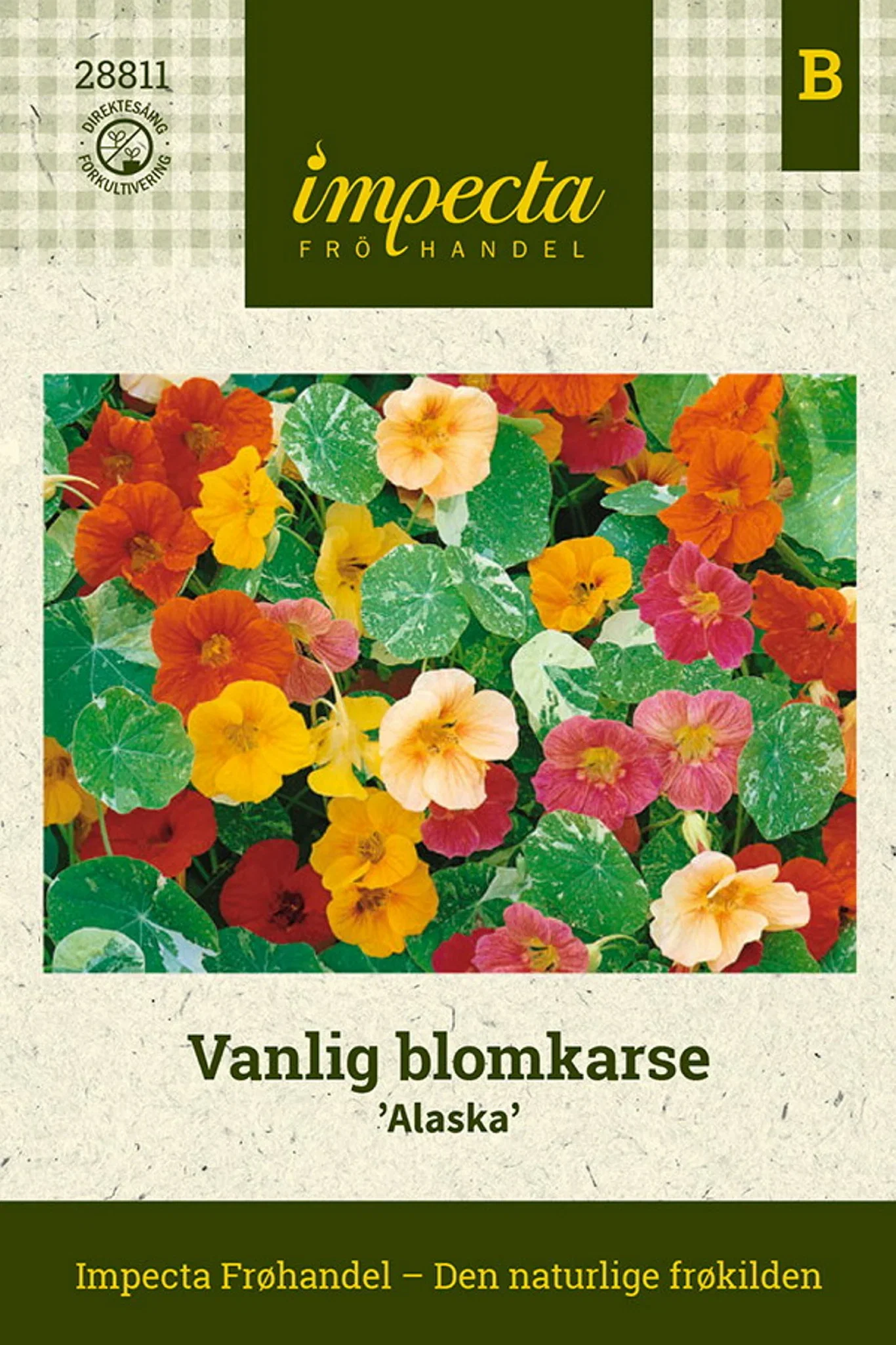 Tropaeolum majus 'Alaska' Vanlig blomkarse 'Alaska'