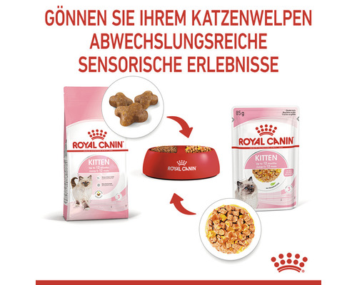 ROYAL CANIN Kitten natvoer voor katten in gelei 85g